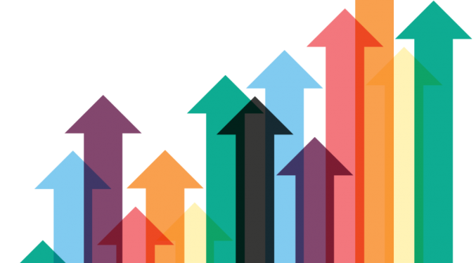 Veniturile Entersoft, în creștere la nivel global în 2017