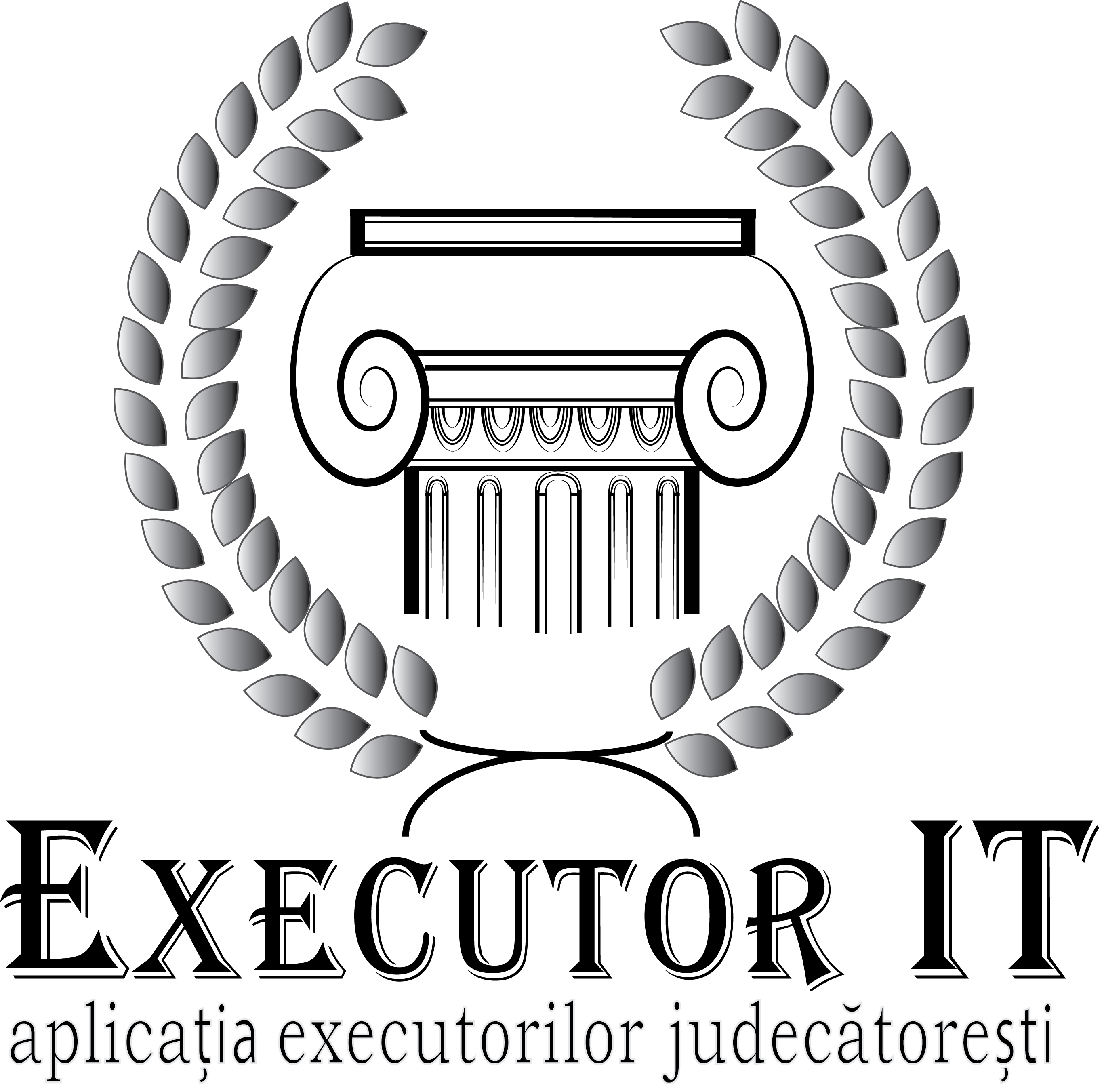 1 an x Executor IT: tehnologie și executare silită în termenii performanței