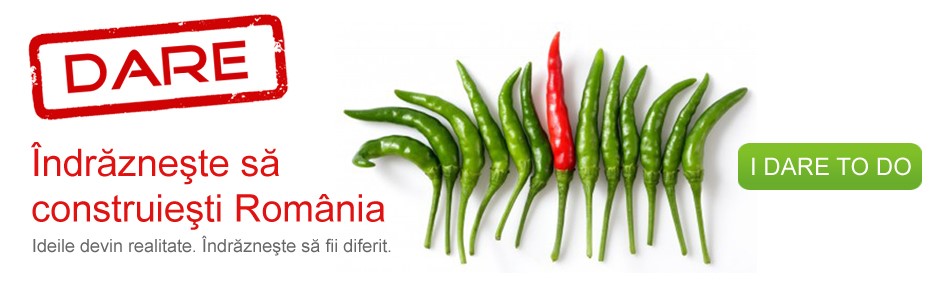 Copii, tineri si mediu: Softelligence a ales finalistii programului Dare