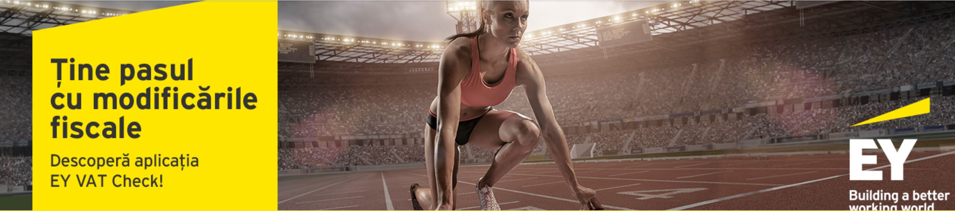 Aplicația EY VAT Check