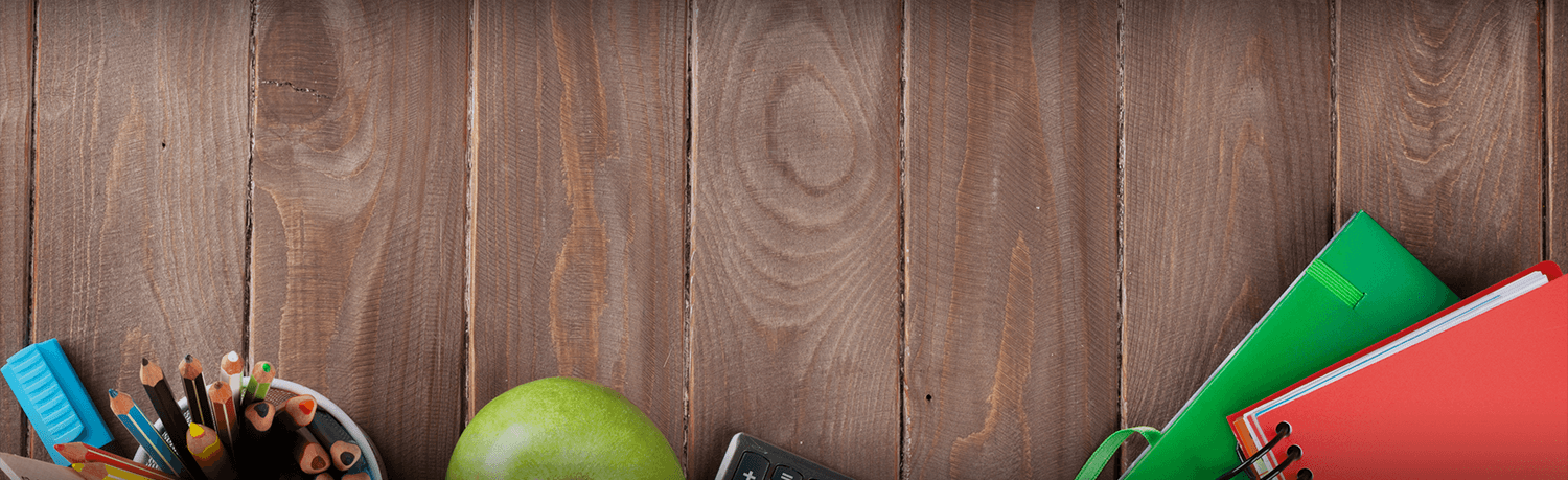  România este vicecampioană mondială la turneul de sumo robotic de la Tokyo