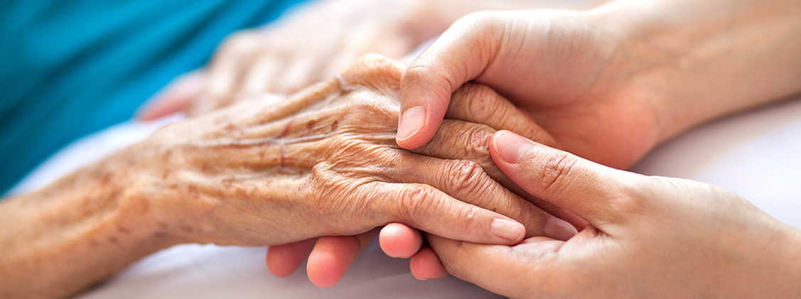 Main Social Solution – aplicația software dedicată azilelor și centrelor sociale 