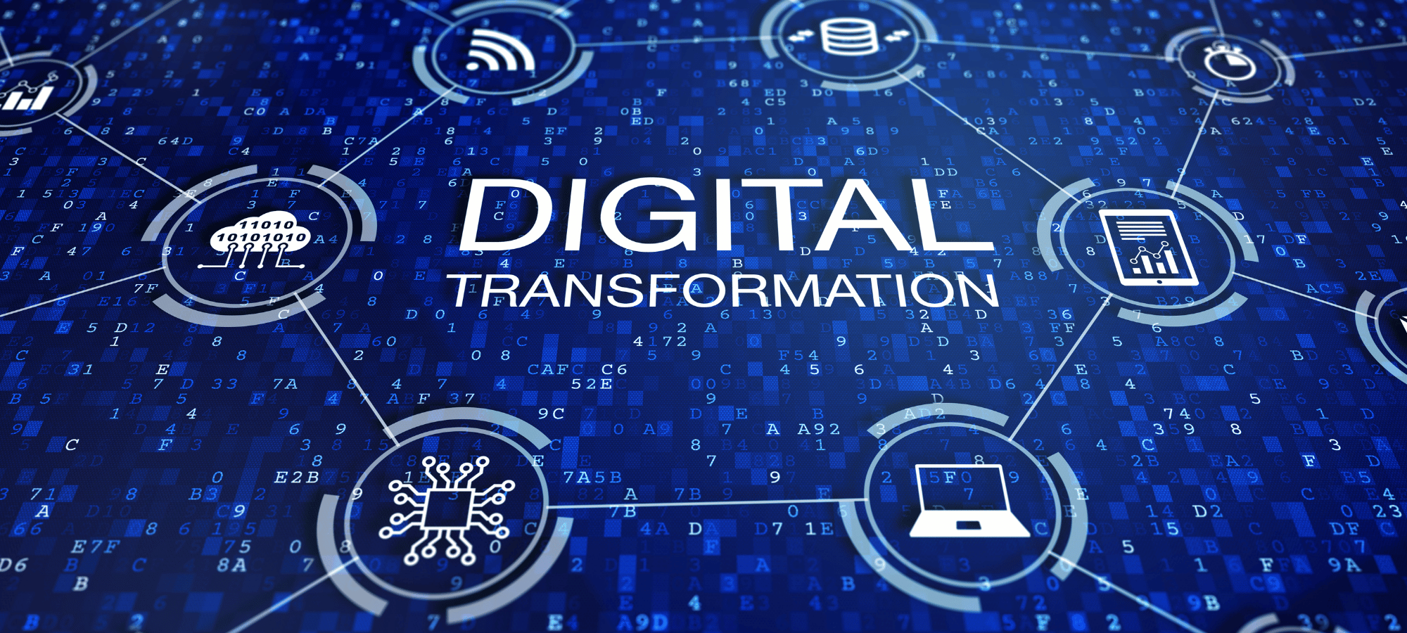 Softlead Weekly News - 2 decembrie 2022