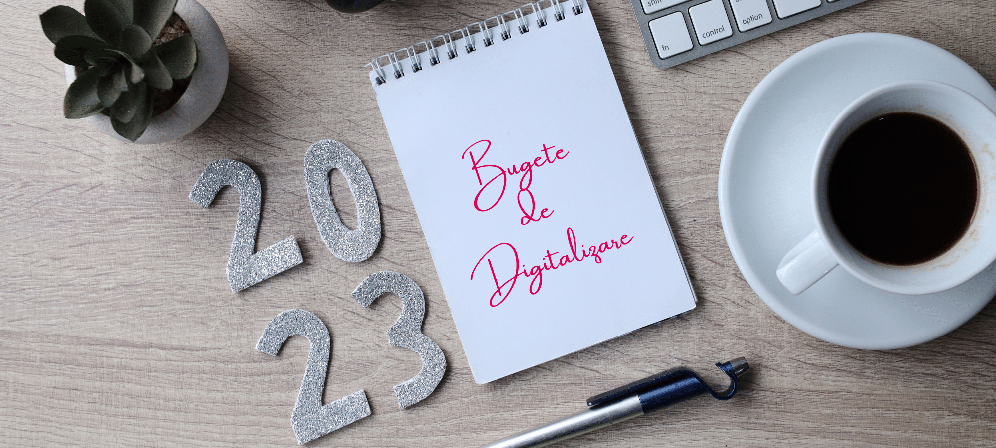 Cum poți afla care este bugetul minim dedicat digitalizării în 2023?