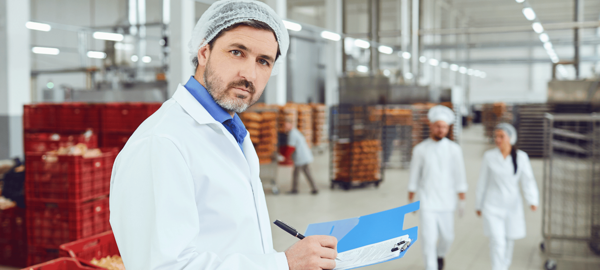 Top 5 aplicații software recomandate companiilor de producție alimentară