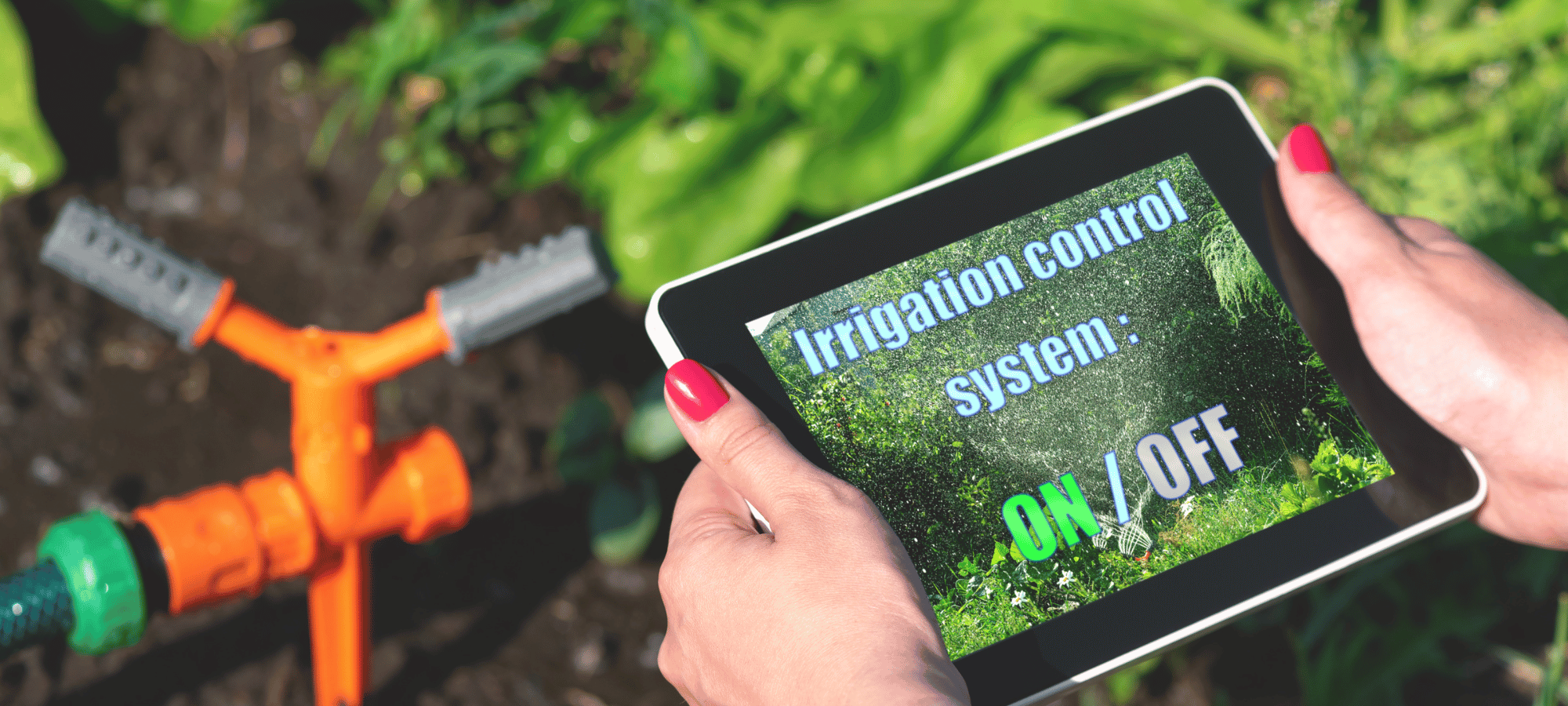 Digitalizarea în agricultură – Care sunt aplicațiile software recomandate?