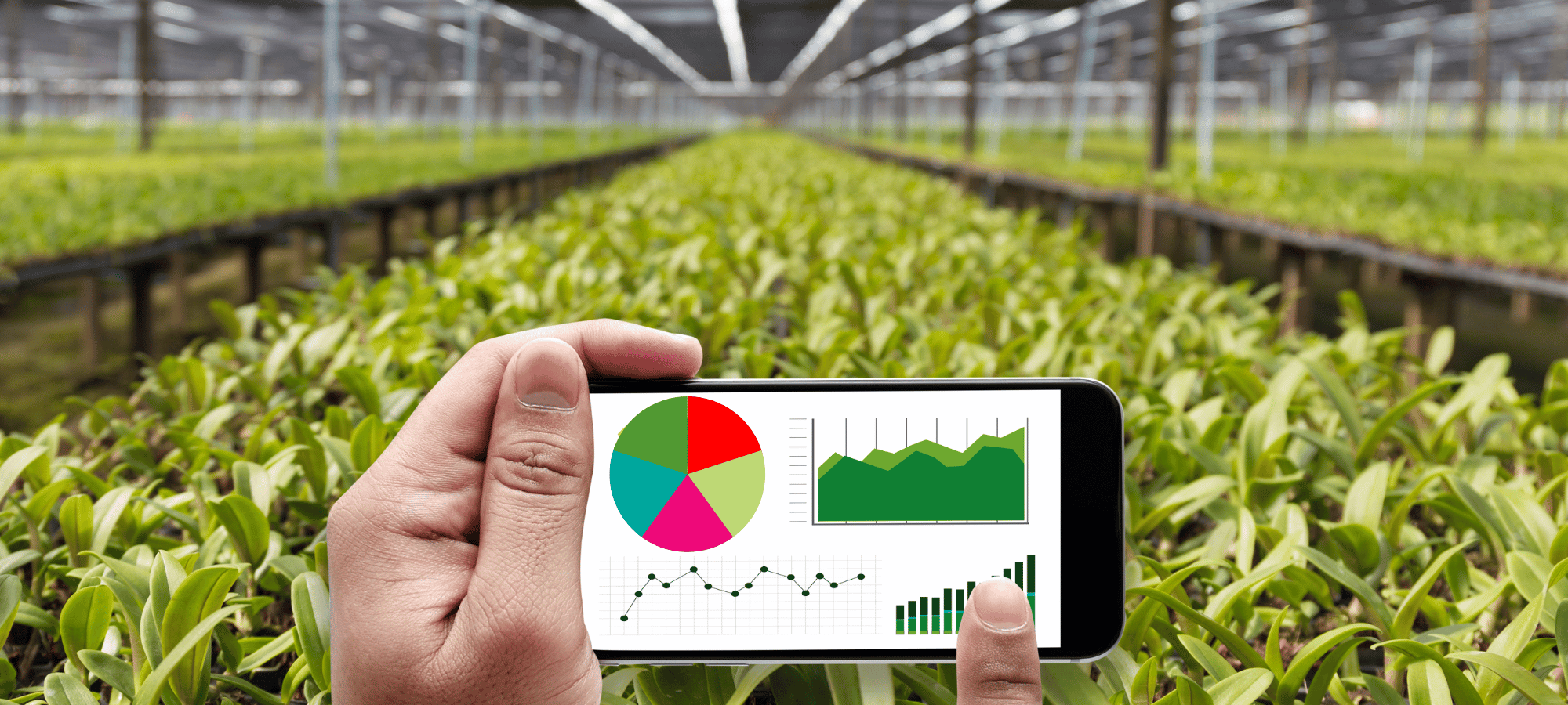 Cum să gestionezi eficient producția agricolă cu ajutorul aplicațiilor software?