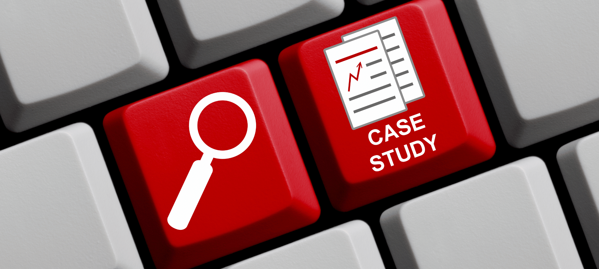 Studiu de caz: Cum a reușit o companie IT listată pe Softlead să obțină într-un an contracte de 16 ori mai mari decât valoarea abonamentului în platformă?