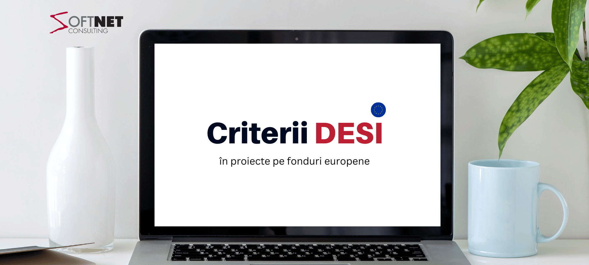 Care sunt criteriile DESI și cum le poți respecta?