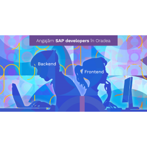 berg COMPUTERS își extinde echipa de SAP din Oradea!