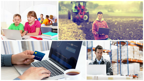 Curbele de sezonalitate ale aplicațiilor software 