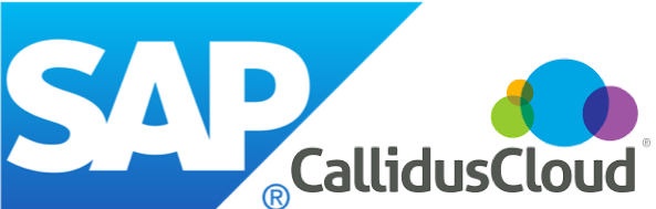 SAP achiziționează Callidus Software