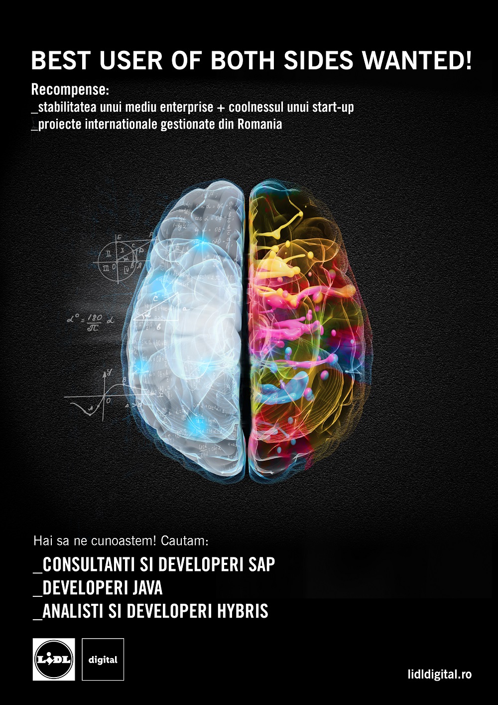 Lidl lansează în România, Lidl Digital, un centru de excelență în IT ce va furniza soluții de e-commerce și management pentru platformele digitale ale retailerului german.  