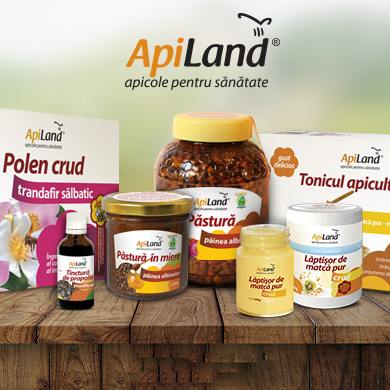 ApiLand a redus timpul de procesare a comenzilor cu pana la 40% cu sistemele Senior Software