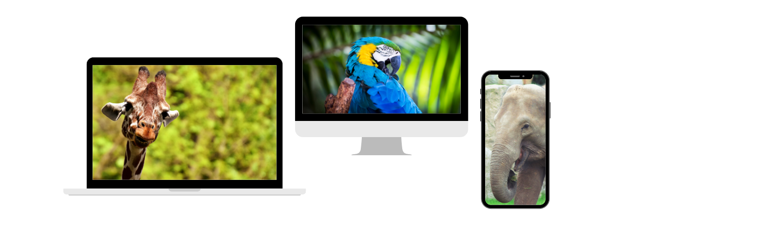 Studiu de caz – Digitalizarea unei grădini zoologice cu ajutorul aplicației software SAP