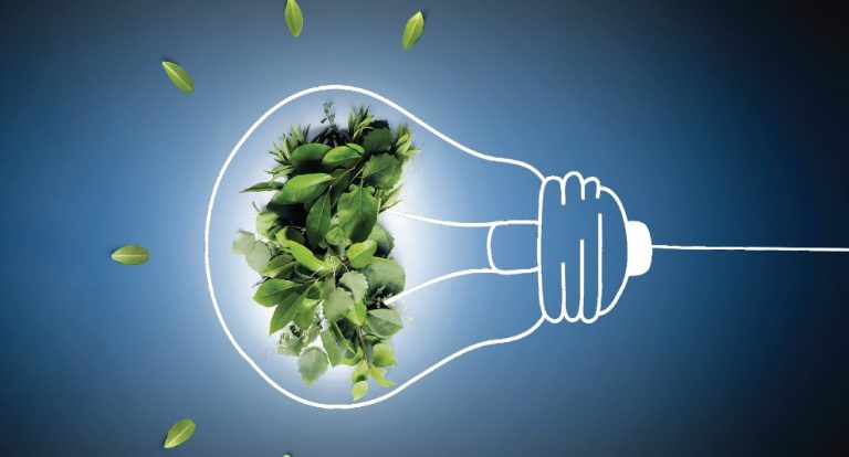 SAP și E.ON vor dezvolta o nouă platformă tehnologică care va susține operațiunile de rețea ale furnizorului de energie