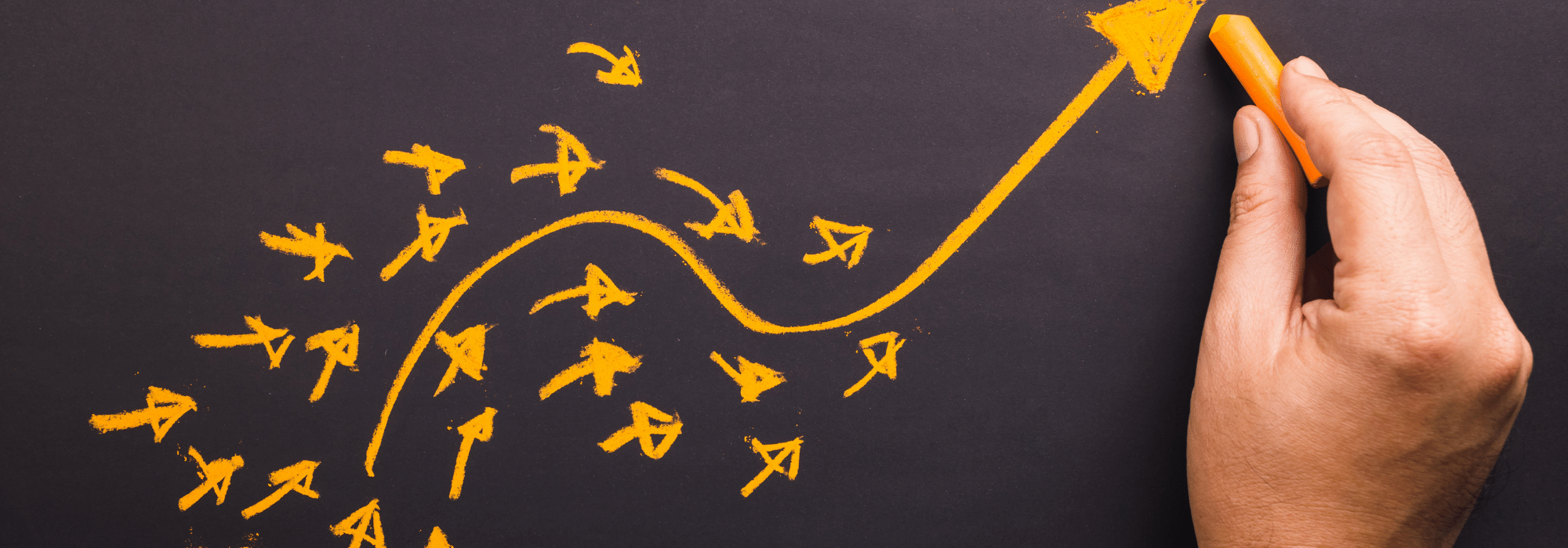 Softlead: Apetit crescut pentru aplicații software în luna octombrie