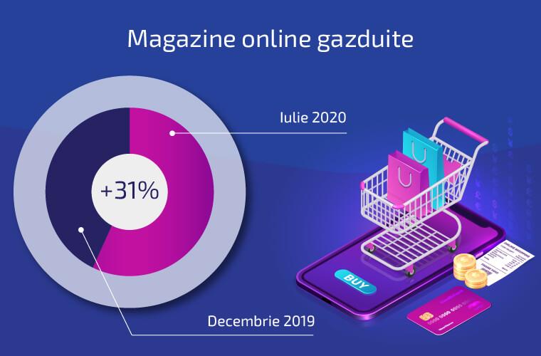 Ascensiune e-commerce: Ce domenii au crescut cel mai mult