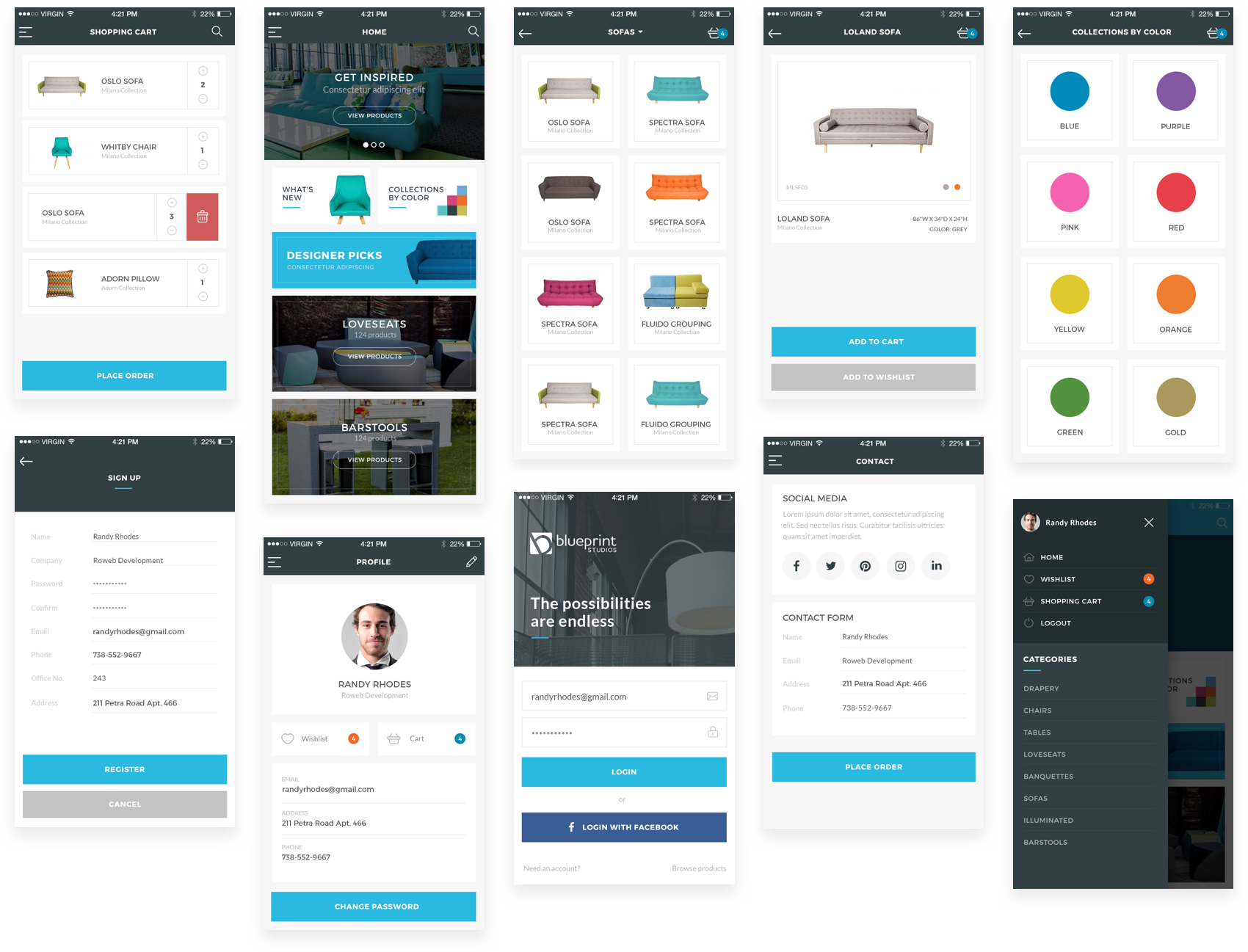 Studiu de caz: Blueprint Studios