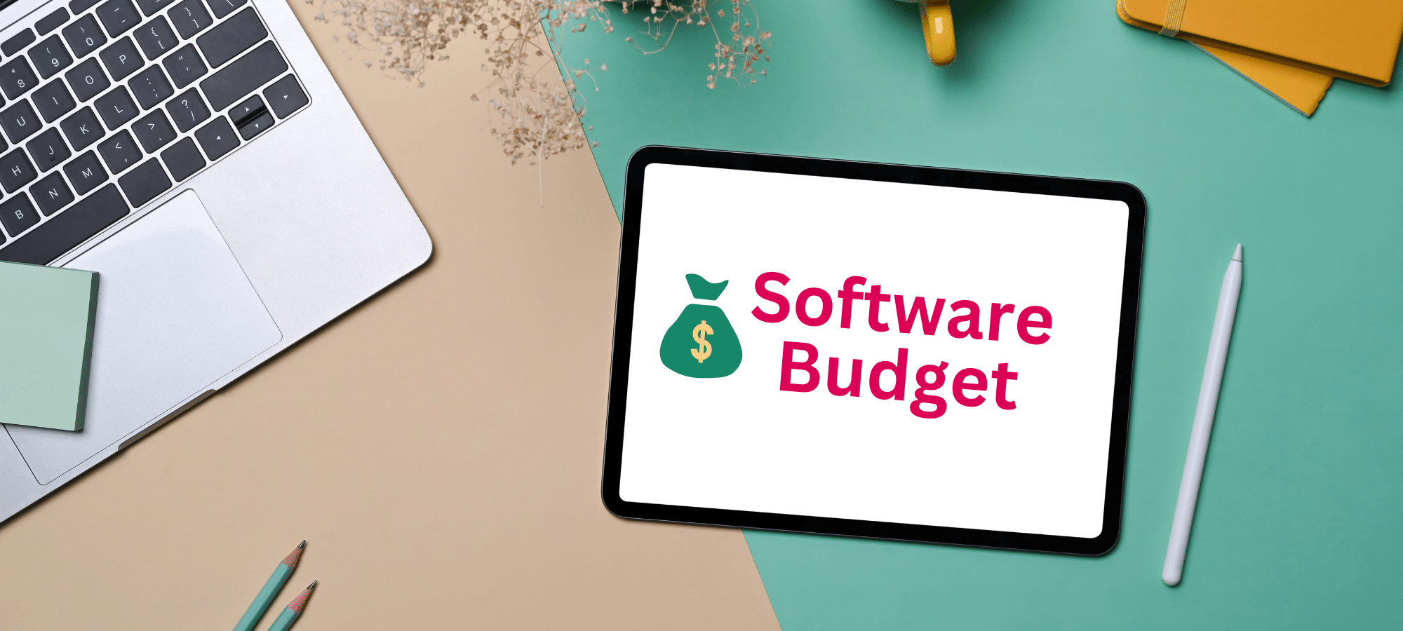 Ce ar trebui să includă o ofertă software completă?