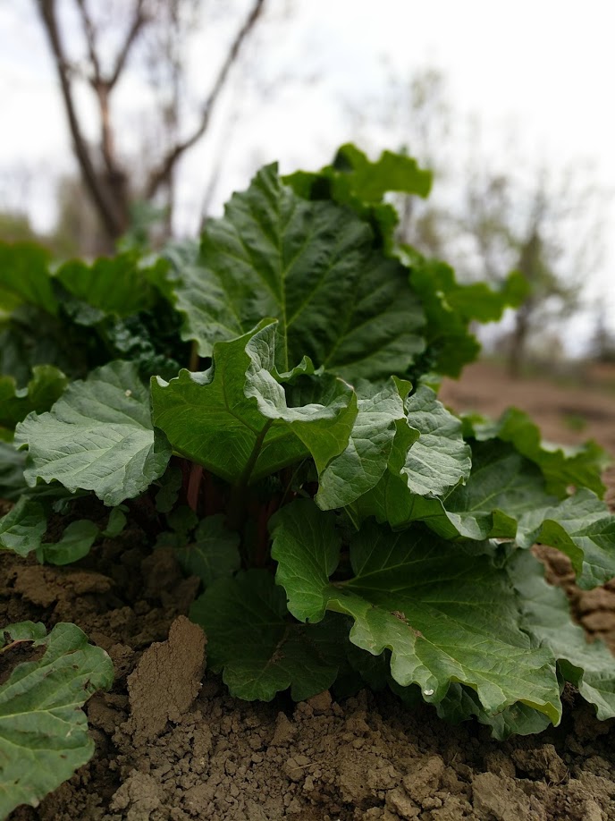 ERP – 15 Motive pentru care trebuie să achiziționezi un astfel de sistem