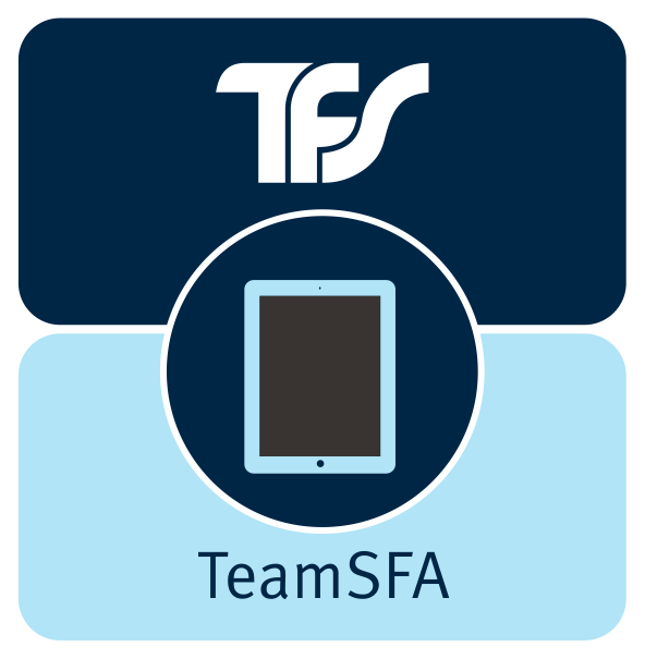 Team First Software Consulting