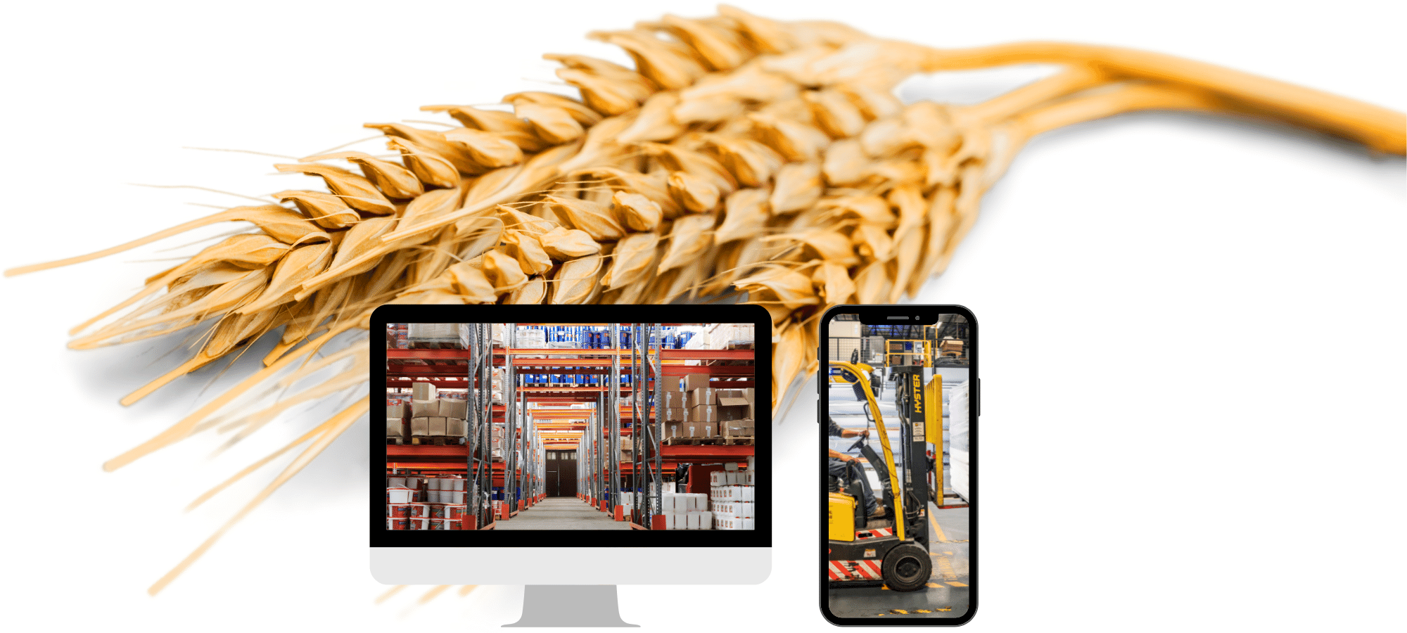 Bento simplifică și automatizează operațiunile de recepție, depozitare și gestiune a stocurilor de cereale