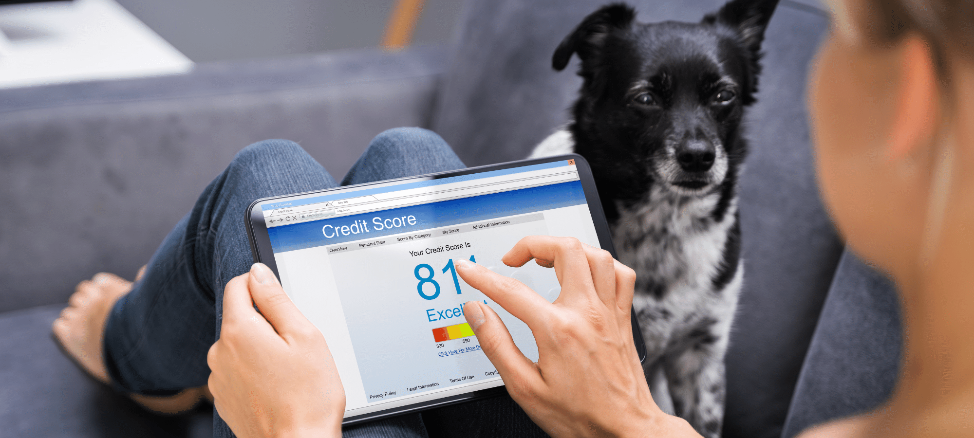 Weekly News – Știri din industria IT/software – 19 august 2022