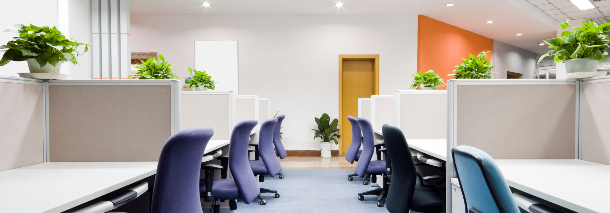 Cum pregătim echipele pentru munca în regim hibrid?