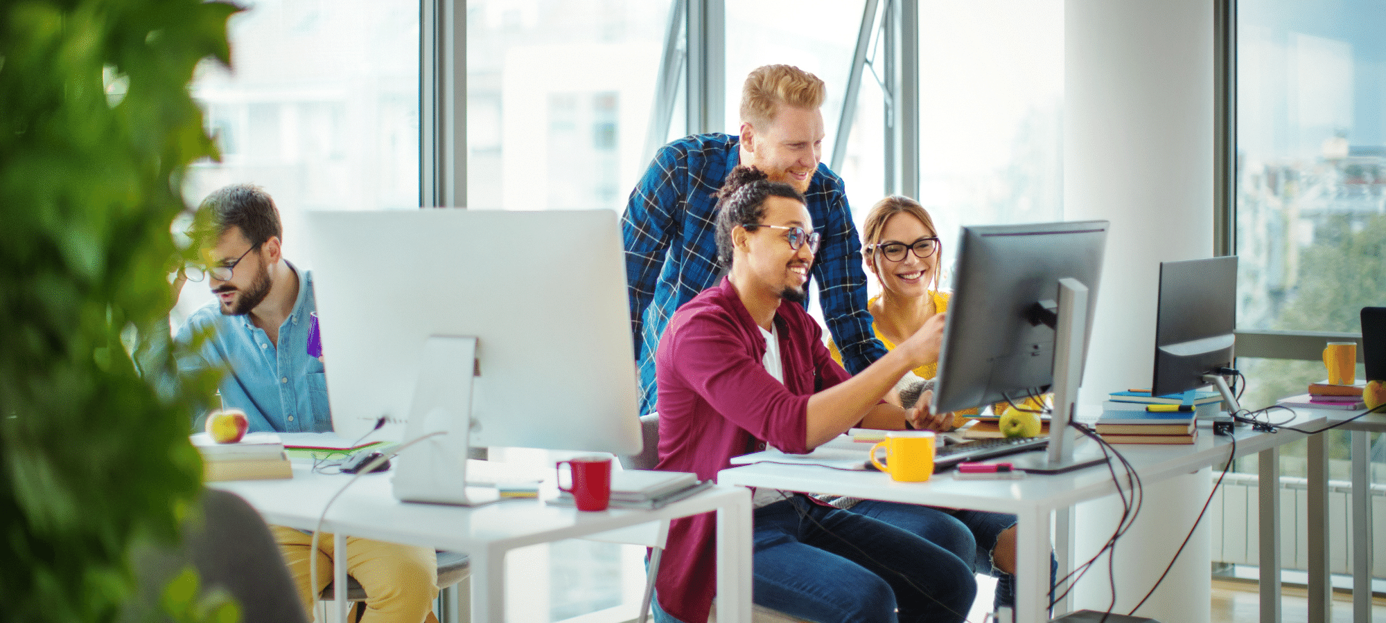 Ai nevoie de o aplicație software personalizată? Cum alegi compania furnizor și cum estimezi costurile?