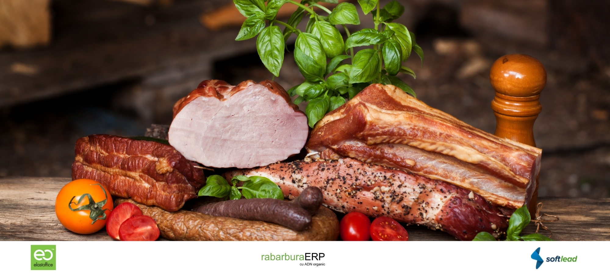 Bătrânu Sas, compania de producție digitalizată cu succes de Elastoffice, cu ajutorul platformei Softlead