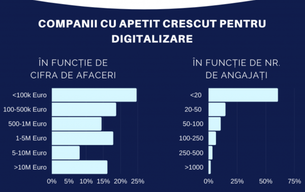 Statistici oficiale 2020: Cum s-a manifestat apetitul companiilor pentru digitalizare într-un an atipic?