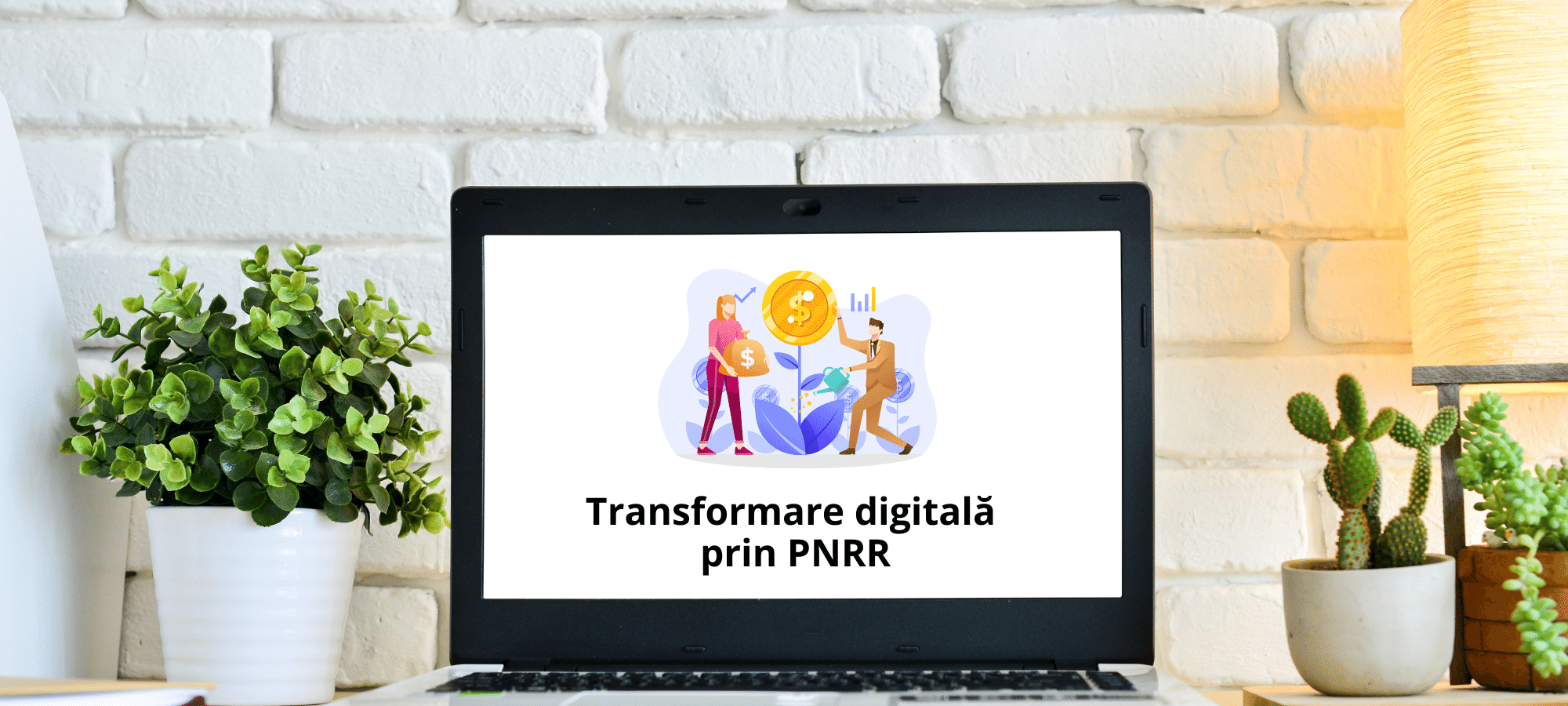 Află rapid dacă ești eligibil pentru finanțare pentru digitalizare prin programul PNRR!