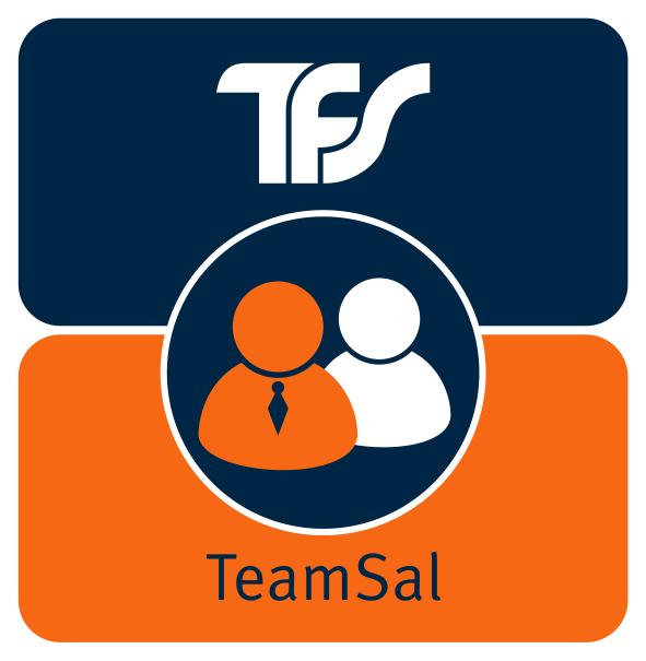 Team First Software Consulting